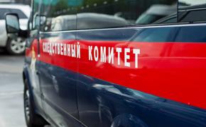 Проводится доследственная проверка по факту жесткой посадки вертолета Ми-2
