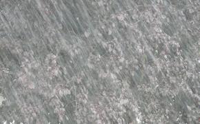 В Японии из-за ливней эвакуированы порядка 110 тысяч человек