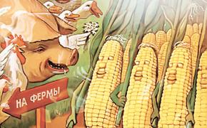 Кукурузная революция