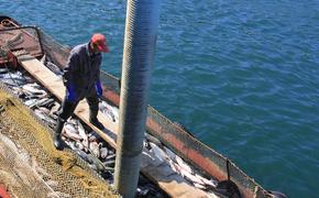 В Японию вернулись задержанные у Курил рыболовецкие шхуны