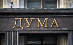 В Госдуме оценили позицию главы МИД Австрии относительно 