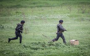 В ЛНР раскрыли детали обернувшейся провалом вылазки ВСУ в «серой зоне» Донбасса