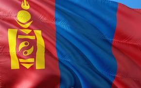Монголия временно закрыла границу с Китаем