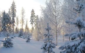 В Новосибирске из-за снегопадов объявили режим ЧС