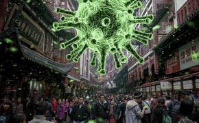 В ВОЗ рассказали, исчезнет ли коронавирус летом