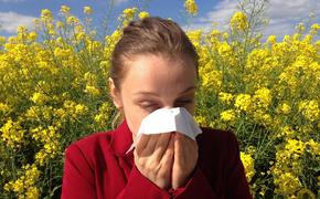 Академик РАН увидел сходства симптомов коронавируса и сезонной аллергии 