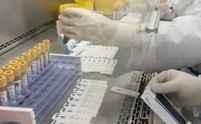 На Ставрополье зарегистрировали 22 новых случая заражения коронавирусом