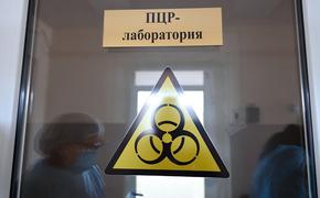 11 новых случаев коронавирусной инфекции выявили в Астраханской области