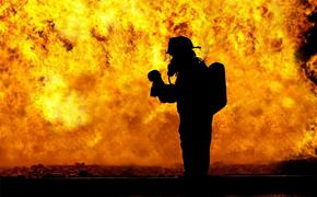 В РФ могут быть ужесточены наказания за нарушения пожарной безопасности