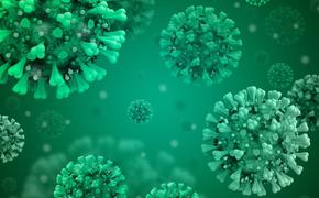«Если мы не справимся к осени – будет вторая волна»: в России стартовало исследование по изучению иммунитета к коронавирусу