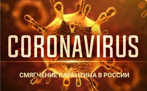 Техника «рисования»: как смягчают карантин в российских регионах