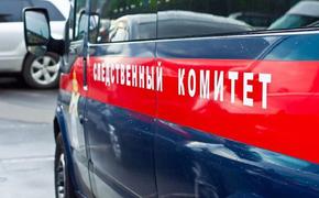 В Адыгее завершено расследование уголовного дела об убийстве 16-летней школьницы