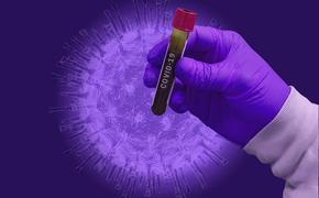 Ученые назвали «удивительную» особенность коронавируса