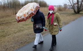 В Москве разрешат прогулки в парках 