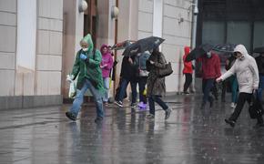  Экстренное предупреждение: в ближайшие часы в Московский регион придет гроза и сильный ветер