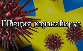 «Игнором вирус не прогнать». Шведская модель борьбы с коронавирусом не привела к улучшению ситуации