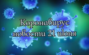 Коронавирус 21 июня: антирекорд Бразилии и необходимость «удаленки» в РФ