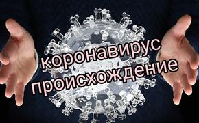 Возможные коронавирусные создатели так до сих пор и не пойманы