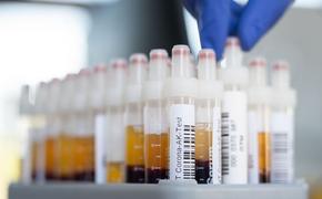 В России за сутки выявили 6 800 новых случаев заражения коронавирусом