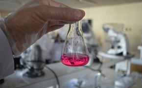 Россия обеспокоена наличием биологических лабораторий близ своих границ