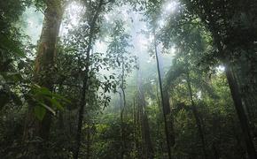 Вертолет с гуманитарным грузом пропал в джунглях Амазонии