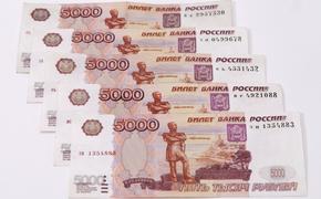 В Совфеде прокомментировали возможность увеличения до уровня МРОТ стипендий в России
