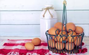 Диетолог: яйца должны быть в рационе каждого человека