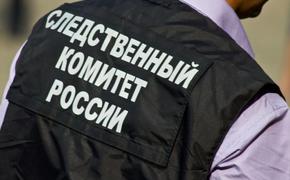 СКР возбудил два  дела о размещении фото нацистов на сайте «Бессмертного полка» в отношении жителей Перми и Кемерово 