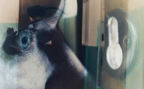О государственном приоритете, ночных захватах полиции и воздействии на детскую психику