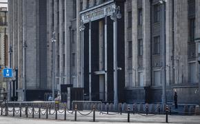 В комитете ГД прокомментировали запрос о двойном гражданстве депутатов