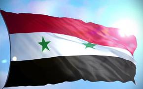 Военные Сирии нашли человеческие органы в лаборатории террористов