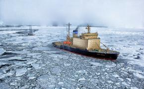 Эксперт объяснил «повышенный интерес» США к Арктике