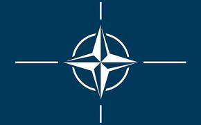 В НАТО прокомментировали ситуацию в Белоруссии