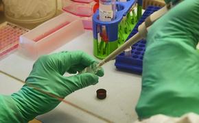 КНР и Россия намерены провести совместные испытания вакцины от коронавируса