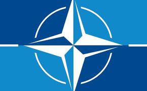 В НАТО услышали заявление Лукашенко о скоплении войск альянса у границы Беларуси