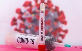 Американские ученые обнаружили главную уязвимость коронавируса