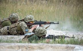 ЛНР сделала экстренное заявление о провокации ВСУ во время перемирия в Донбассе