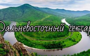 О «дальневосточном гектаре» земли: почему программа почти не работает