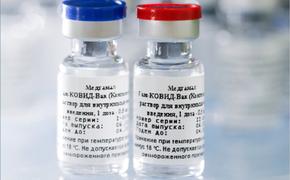 Белоруссия получит российскую вакцину от коронавируса одной из первых