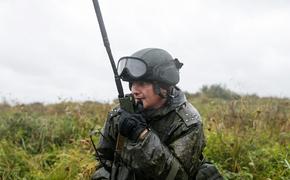 Озвучен результат операции белорусских силовиков по поиску в лесах «вагнеровцев»