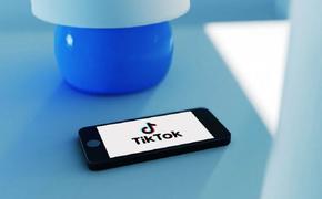 Эксперт считает, что реакция США на работу соцсети TikTok больше похожа на охоту на ведьм