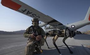 ВВС США создали собак-роботов для подготовки к бою