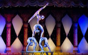 В России снизилась численность зрителей на цирковых представлениях