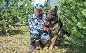 На защите чести. Под Петербургом служебный пёс спас похищенную девушку от изнасилования