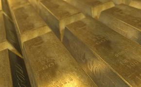 Доцент РАНХиГС Грибов считает, что эра хранения золотых запасов в США подходит к концу