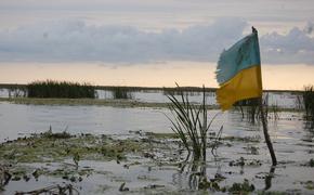 Экс-депутат Верховной Рады Александр Голуб прокомментировал интервью бывшего главы офиса Зеленского