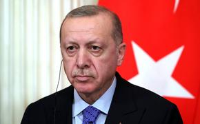 Эрдоган посоветовал Макрону во избежание проблем не связываться с турецким народом