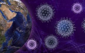 Коронавирусом заразились более 29 млн человек в мире