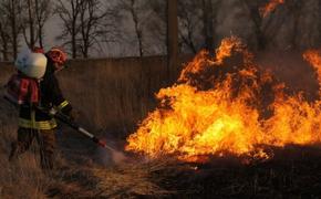В Карачаево-Черкесии ввели режим ЧС из-за растущей площади лесного пожара