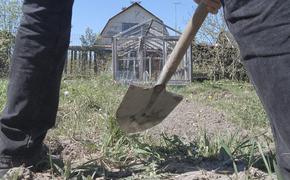 Житель Волгоградской области не может построить дом из-за древнего захоронения на своем участке